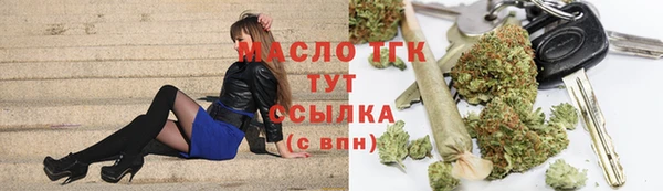 индика Нягань