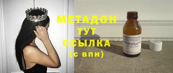 индика Нягань