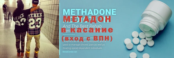 индика Нягань