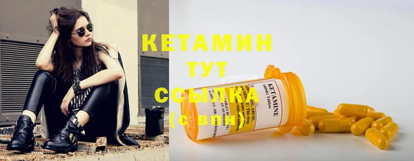 индика Нягань