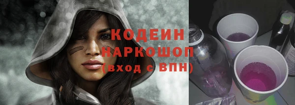 индика Нягань