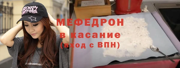 индика Нягань