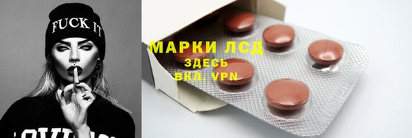 индика Нягань