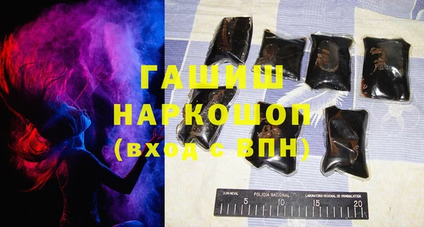 индика Нягань