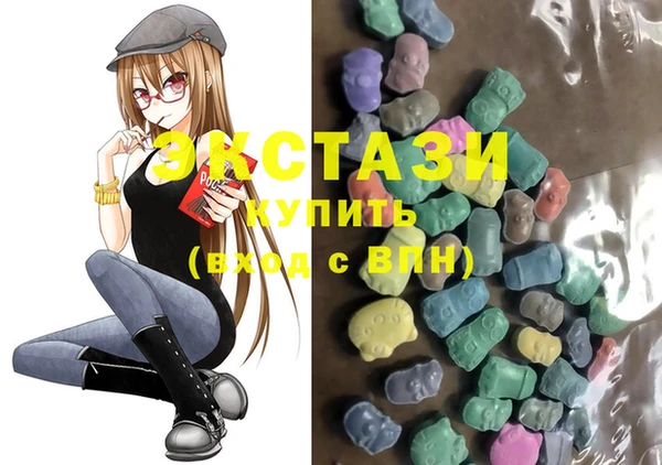 индика Нягань