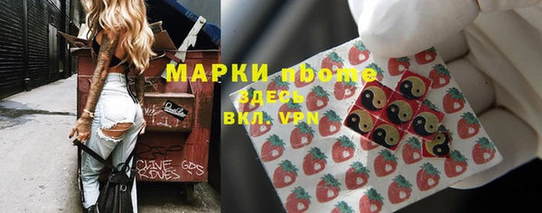 индика Нягань