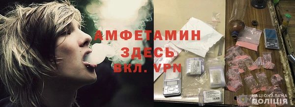 индика Нягань