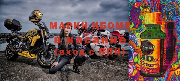 индика Нягань
