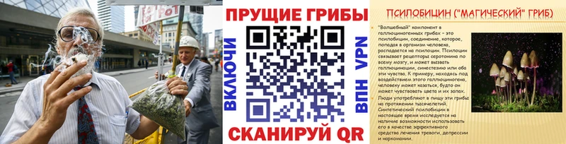 закладки  Алагир  Галлюциногенные грибы ЛСД 
